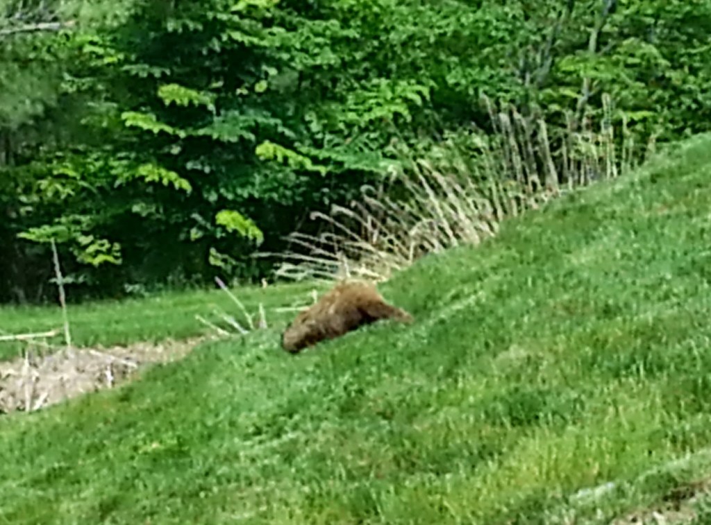 The Sweetest Place on&nbsp;Earth