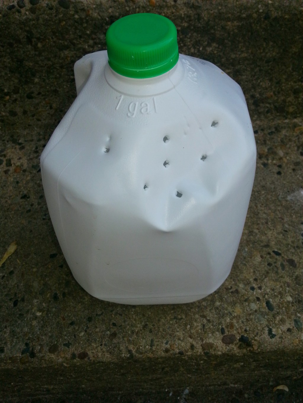 Introducing… My Lifestyle Brand