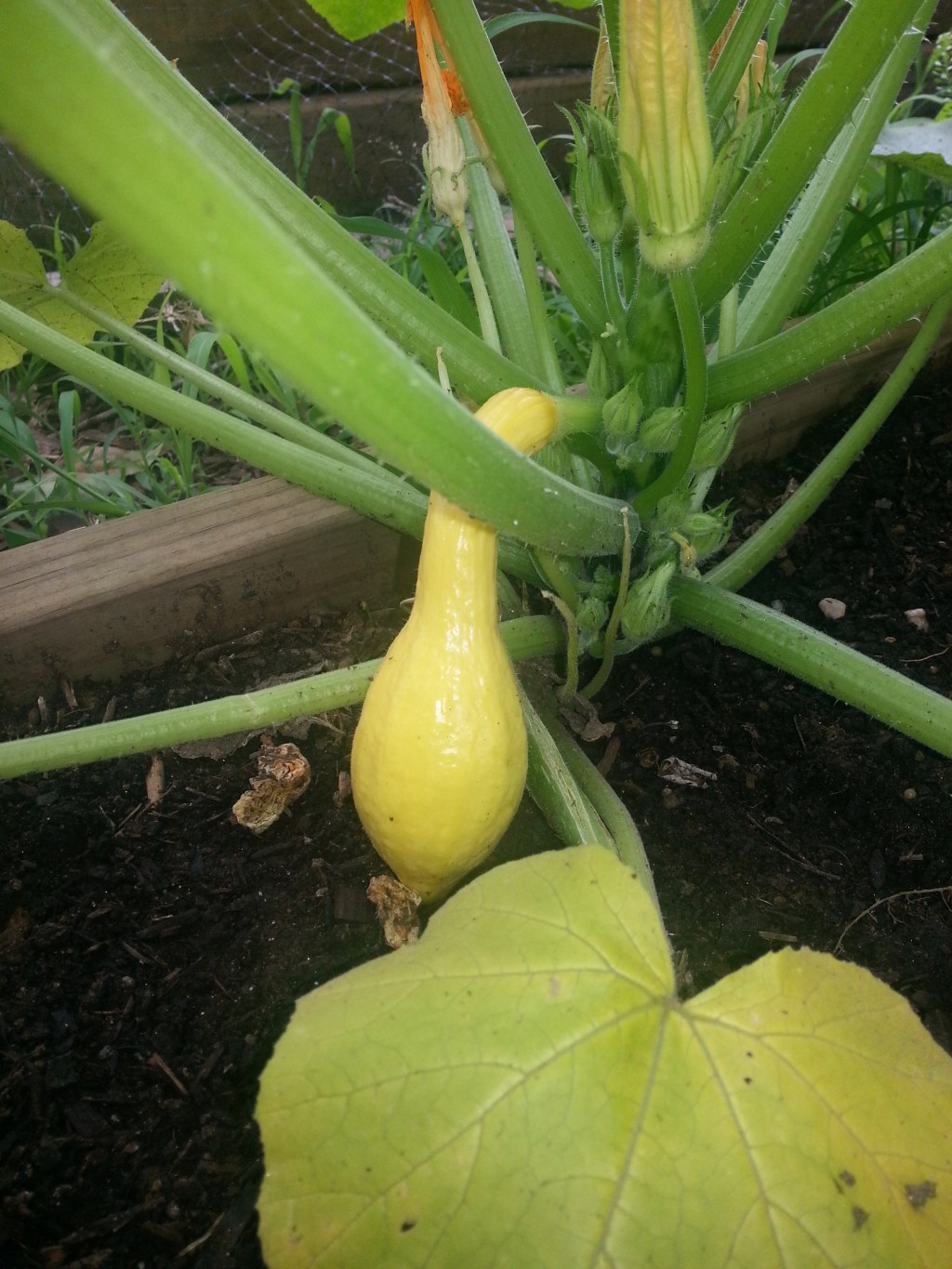 Random Last-Minute Vaca!