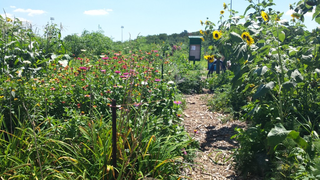 In Sickness and In&nbsp;Health