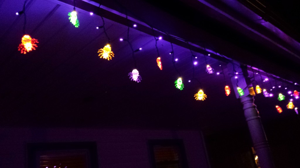 Fall Walks and First&nbsp;Frost