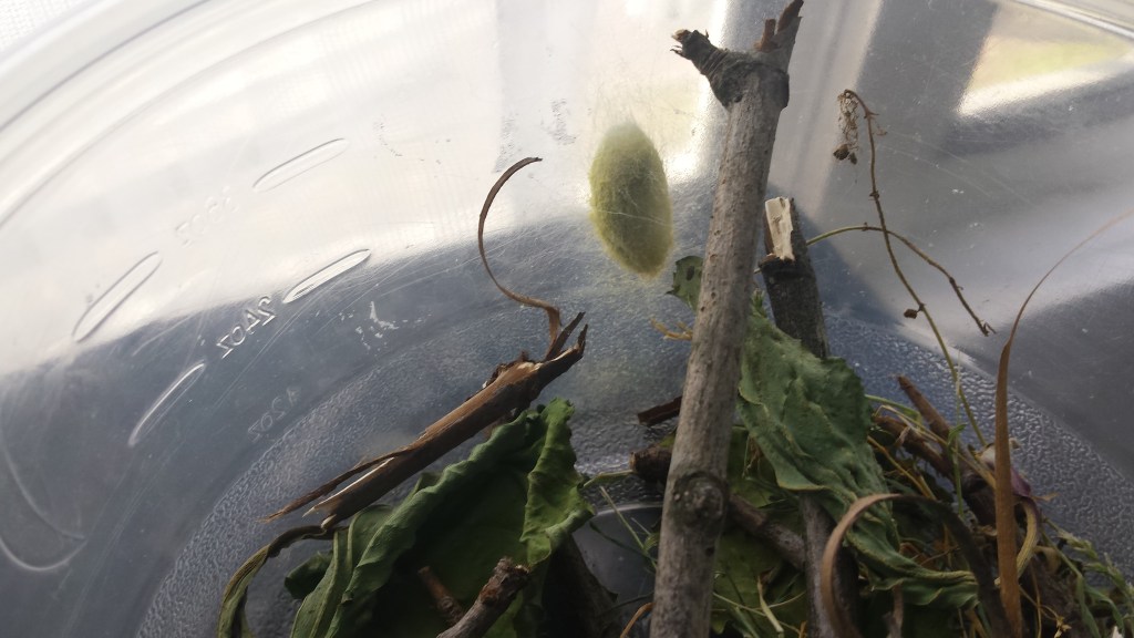 Inviting the Wild In