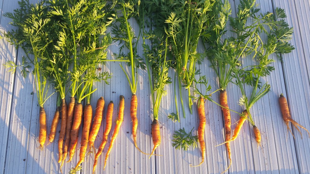 Just a Bit of a Break from the Norm