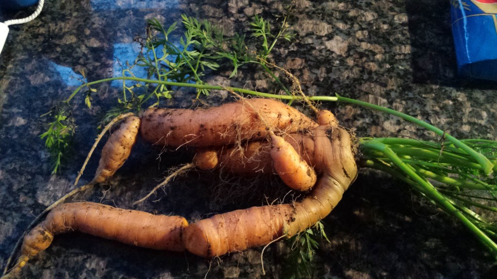 What Has Two Thumbs and Blew Off Food Shopping?