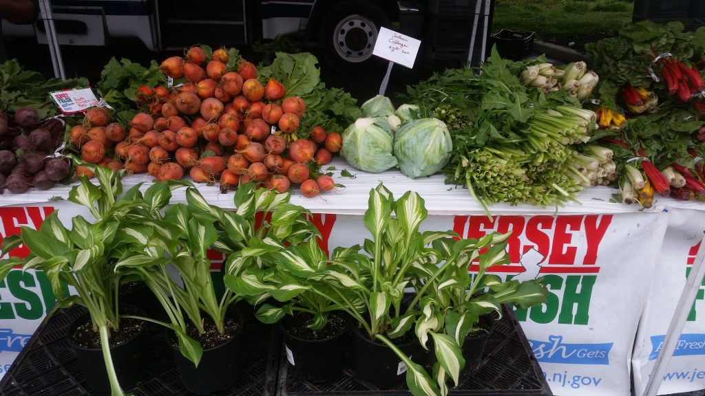 Return to Animal, Vegetable,&nbsp;Miracle