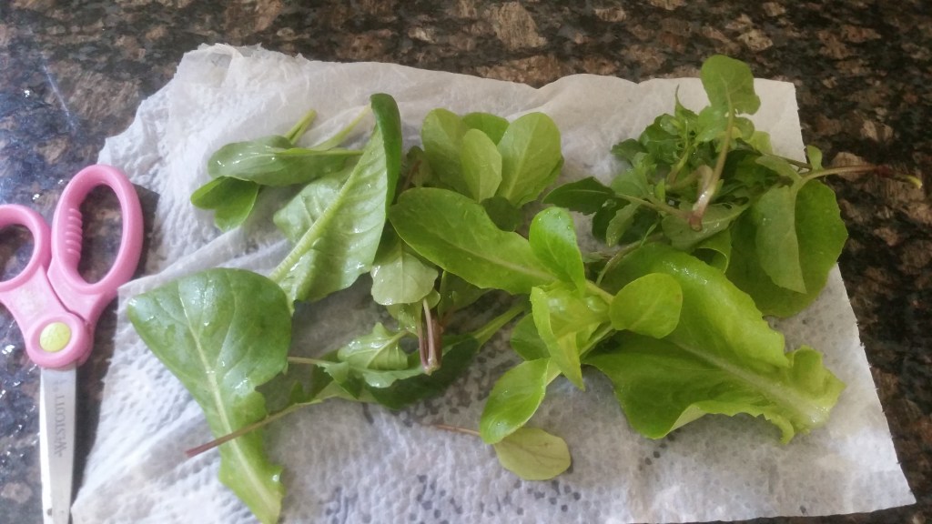 Long Time No&nbsp;Blog