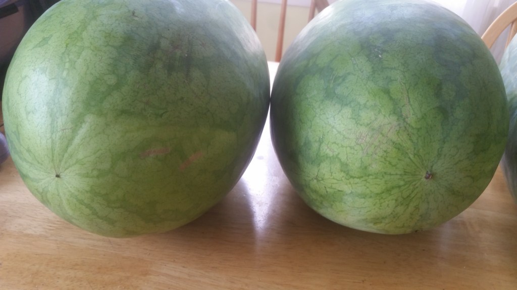 Nice Melons