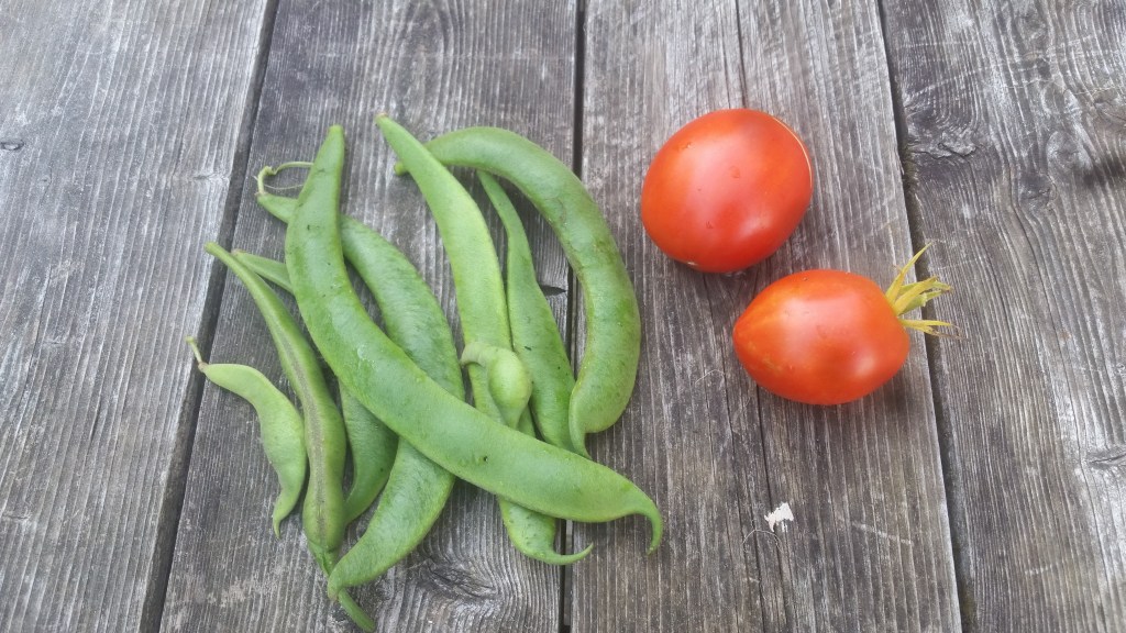 O, I Am a Lonely Painter