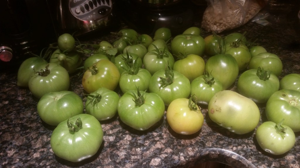 Everything Is Inventory