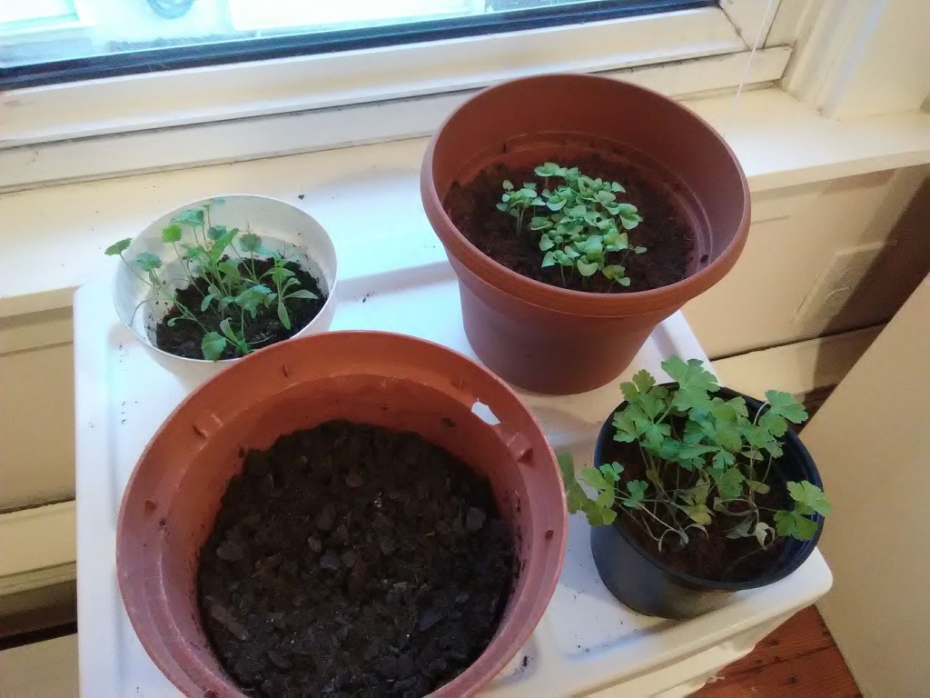 First Day of&nbsp;Spring