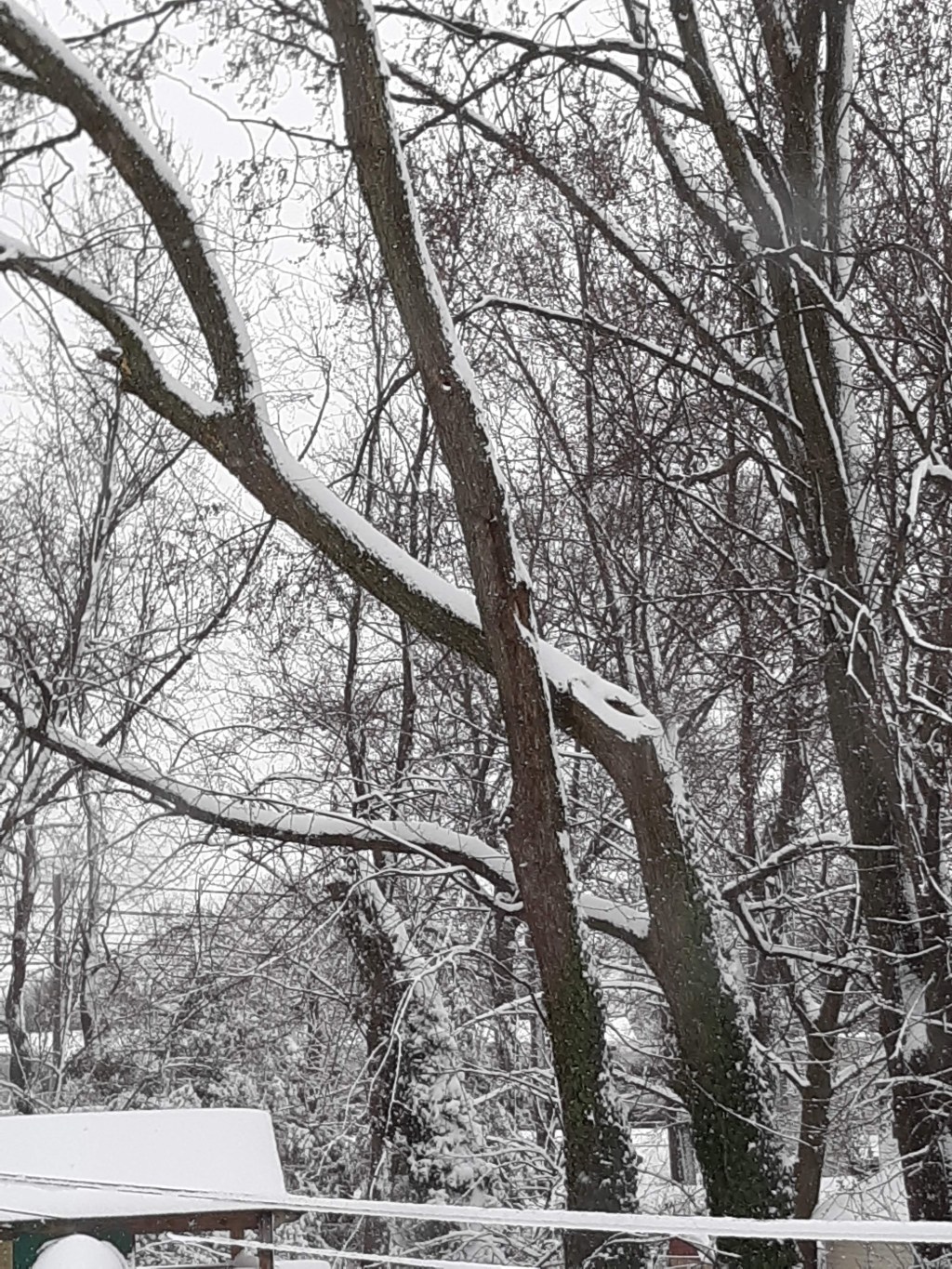 Mother Nature and Old Man&nbsp;Winter