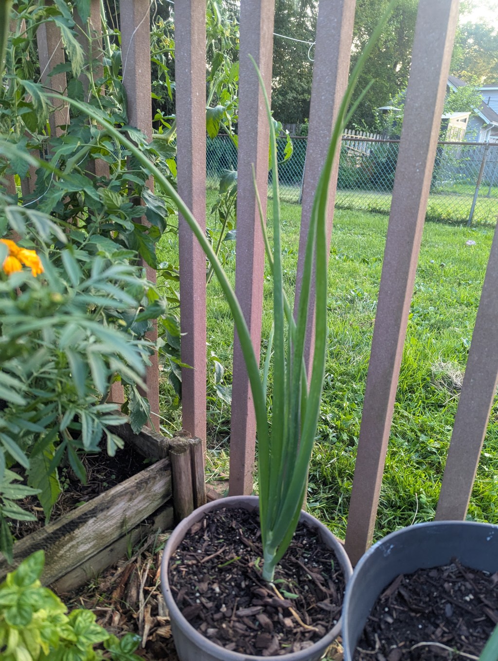 A Couple Hundred in the&nbsp;Future