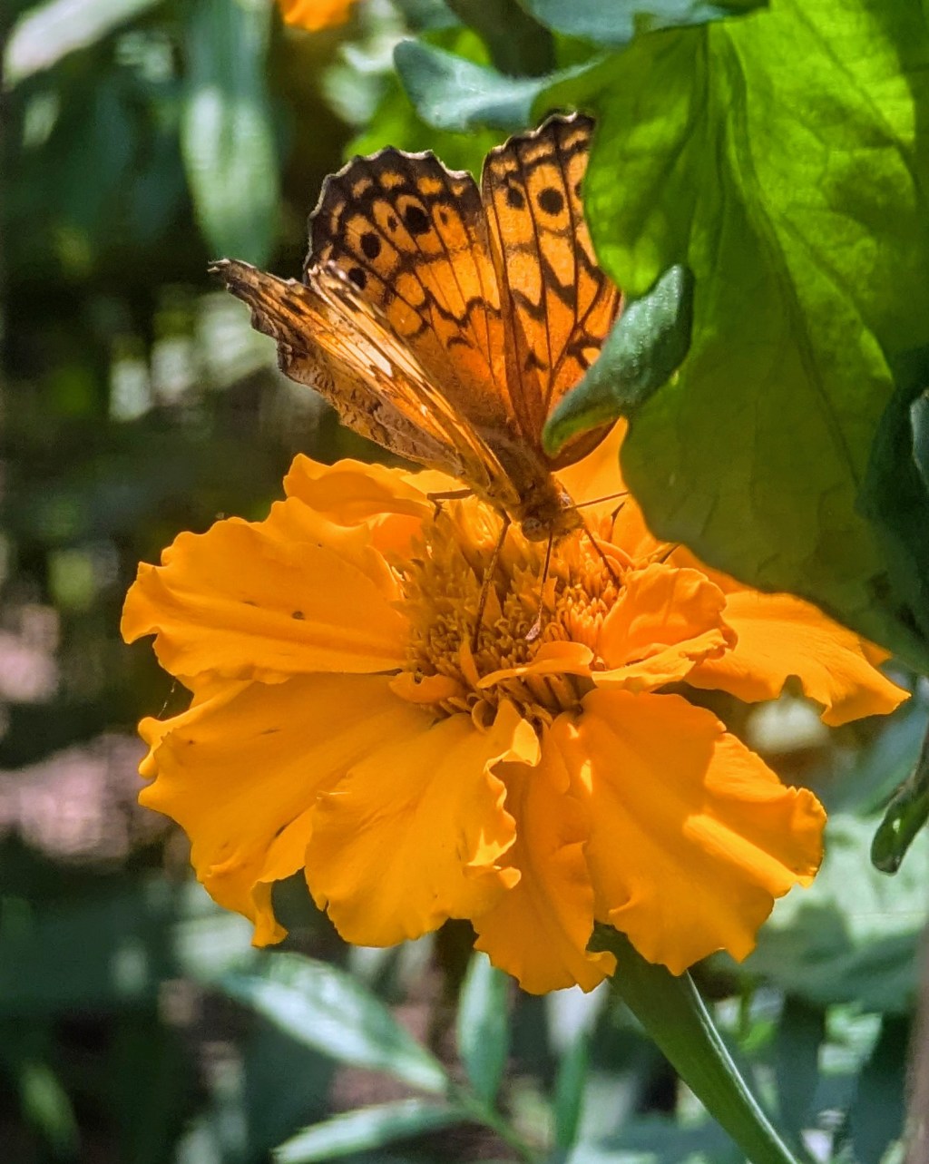 Staycate the Premises