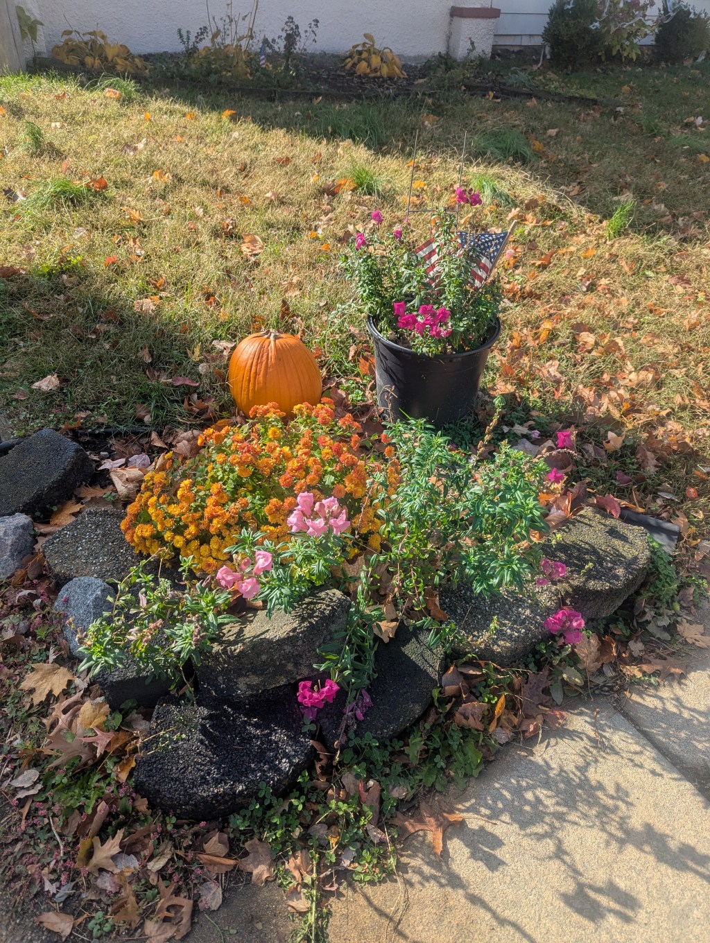 Sprouts Is Bankrupting&nbsp;Me