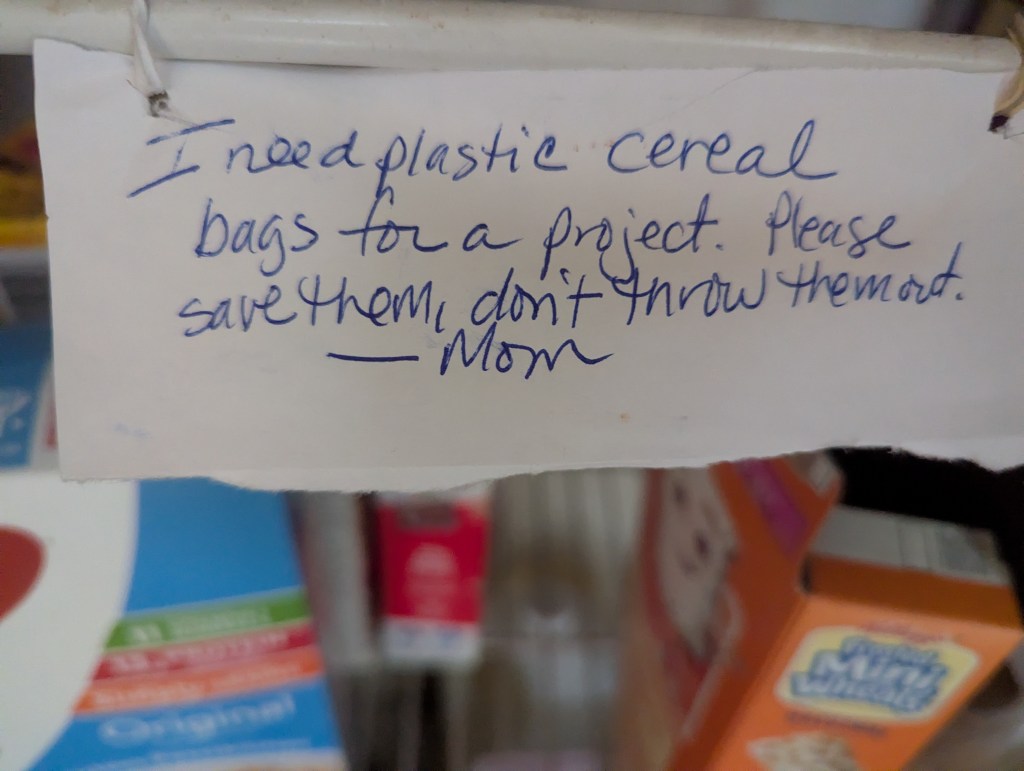 A Cheapskate’s Guide to Repurposing Household Items in the&nbsp;Garden