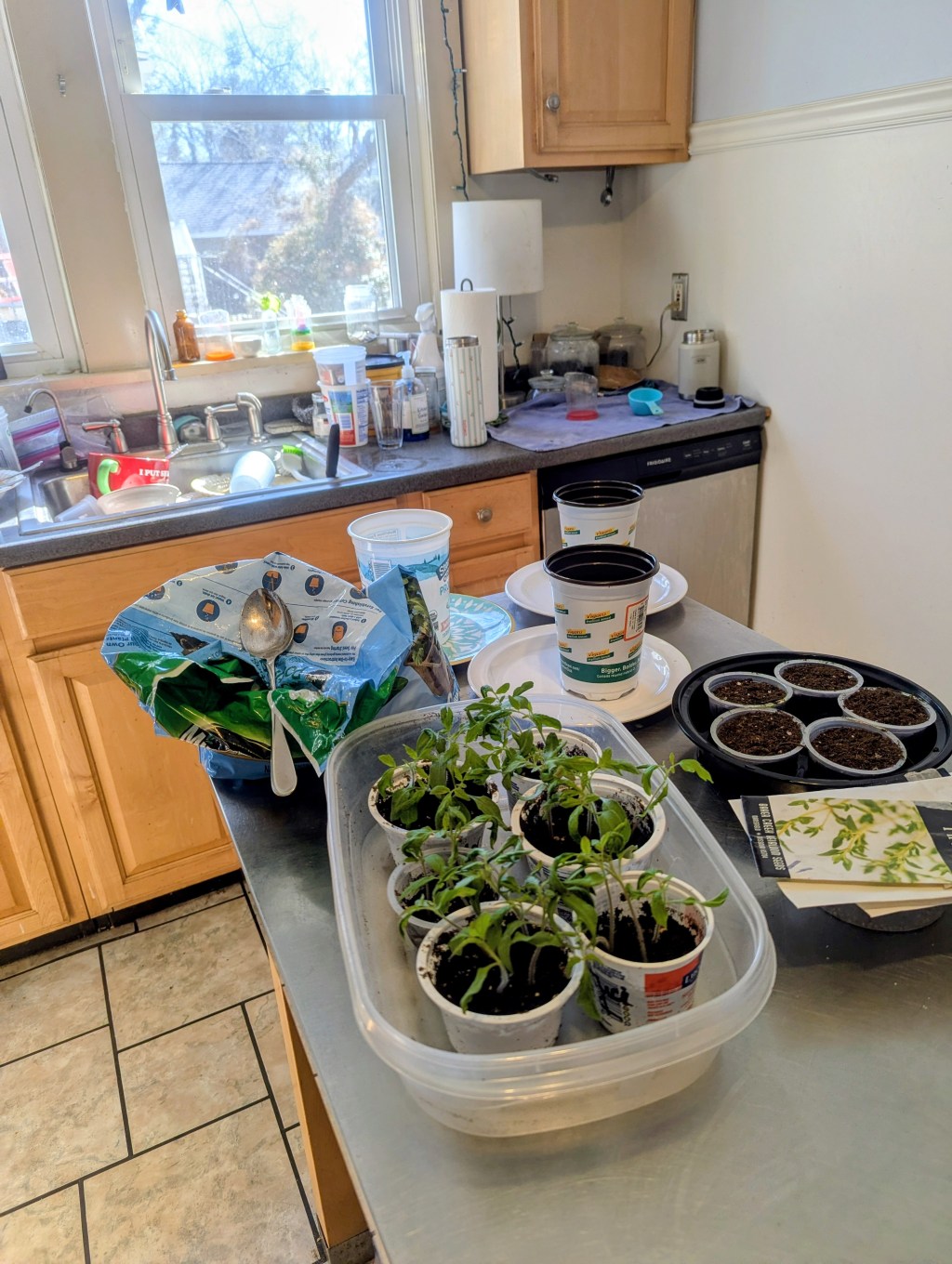 Sewing, Birding, Jamming