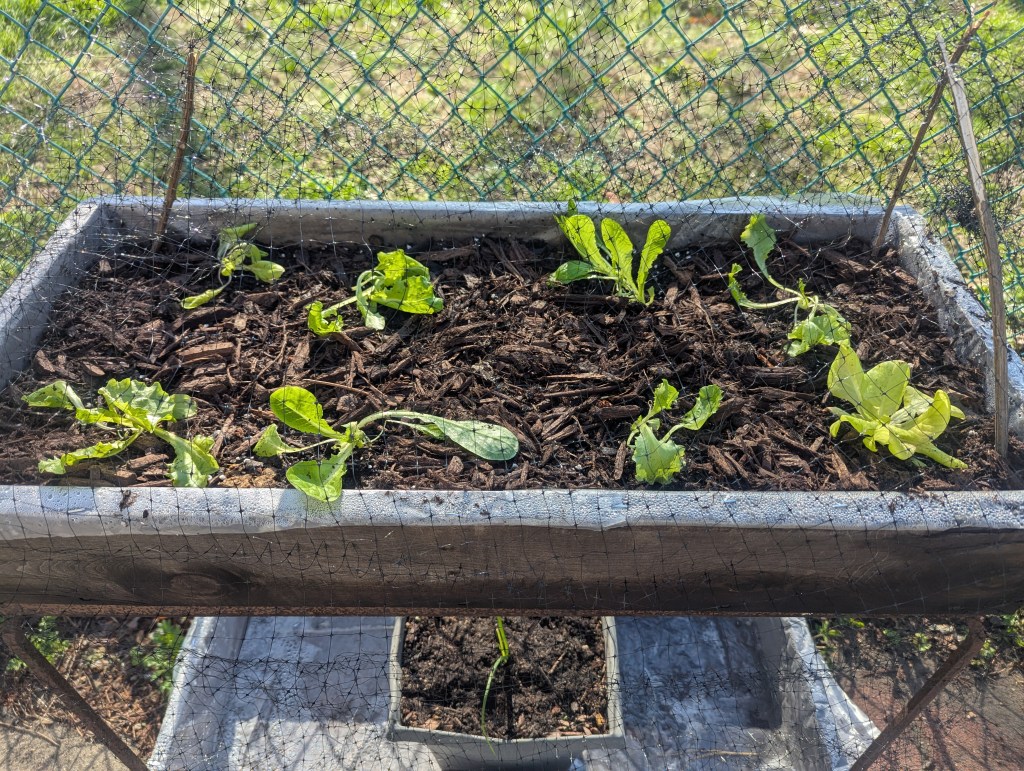 One Mode After Another